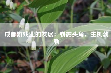 成都游戏业的发展：崭露头角，生机勃勃