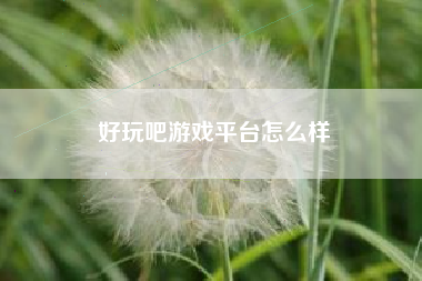 好玩吧游戏平台怎么样