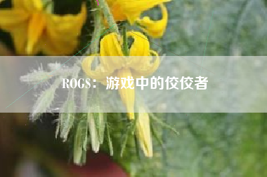 ROGS：游戏中的佼佼者