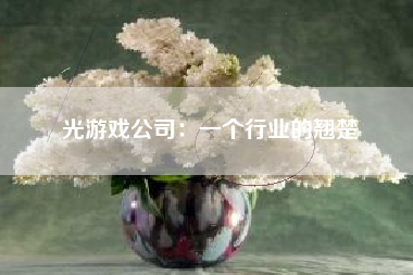 光游戏公司：一个行业的翘楚