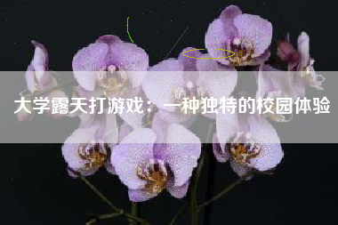 大学露天打游戏：一种独特的校园体验