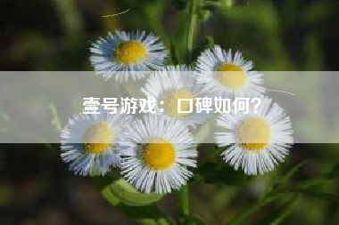 壹号游戏：口碑如何？