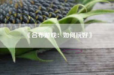 《吕布游戏：如何玩好》