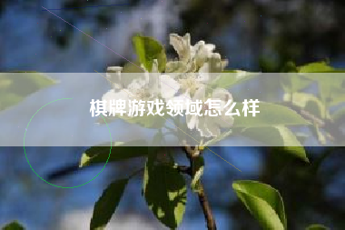 棋牌游戏领域怎么样