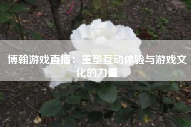 博翰游戏直播：重塑互动体验与游戏文化的力量