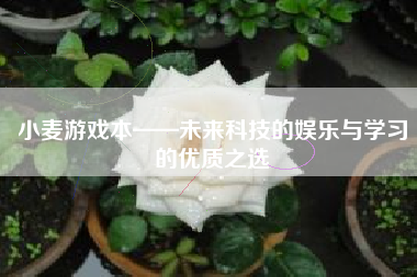 小麦游戏本——未来科技的娱乐与学习的优质之选