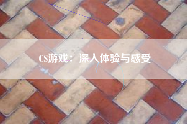 CS游戏：深入体验与感受
