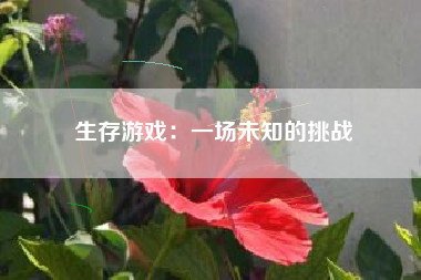生存游戏：一场未知的挑战