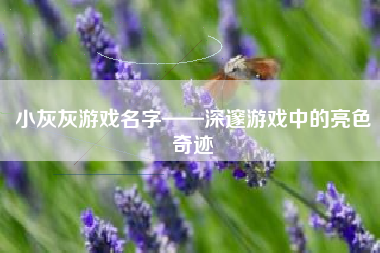 小灰灰游戏名字——深邃游戏中的亮色奇迹