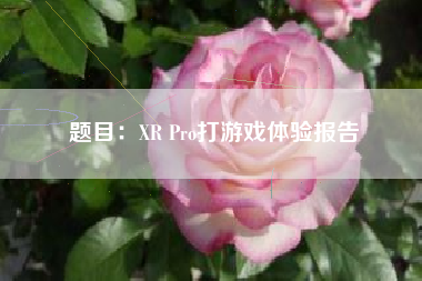 题目：XR Pro打游戏体验报告