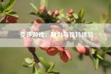 变声游戏：魅力与独特体验