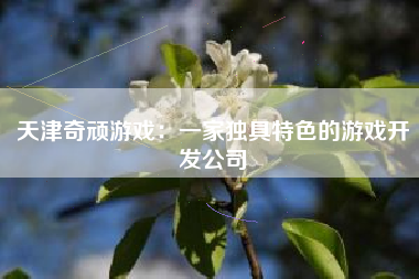 天津奇顽游戏：一家独具特色的游戏开发公司