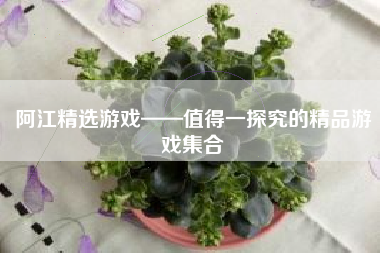 阿江精选游戏——值得一探究的精品游戏集合