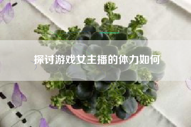 探讨游戏女主播的体力如何