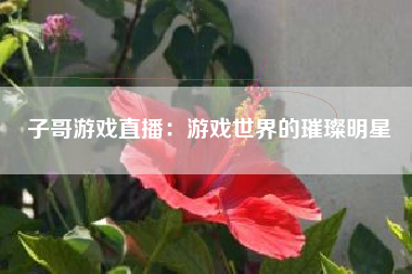 子哥游戏直播：游戏世界的璀璨明星