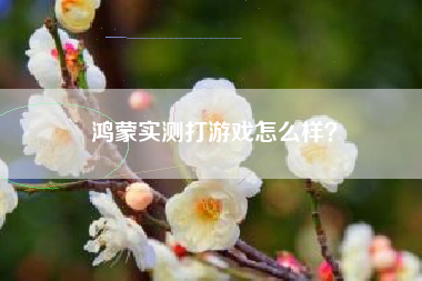 鸿蒙实测打游戏怎么样？