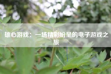 雄心游戏：一场精彩纷呈的电子游戏之旅