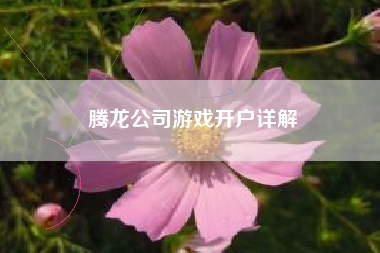 腾龙公司游戏开户详解