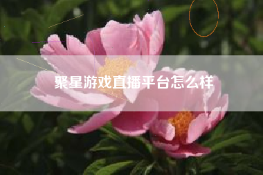 聚星游戏直播平台怎么样