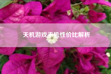 天机游戏手机性价比解析