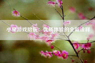 小星游戏陪玩：优质体验的全新诠释