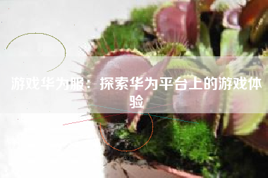 游戏华为服：探索华为平台上的游戏体验