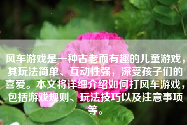 风车游戏是一种古老而有趣的儿童游戏，其玩法简单、互动性强，深受孩子们的喜爱。本文将详细介绍如何打风车游戏，包括游戏规则、玩法技巧以及注意事项等。