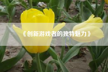 《创新游戏者的独特魅力》