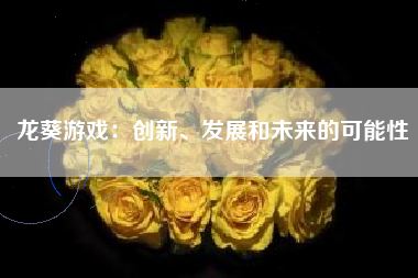 龙葵游戏：创新、发展和未来的可能性