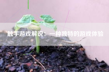 触手游戏解说：一种独特的游戏体验