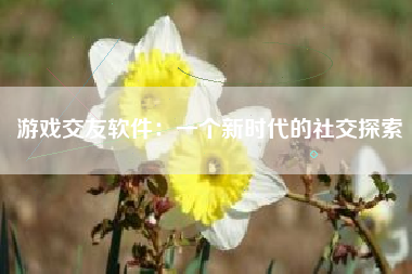 游戏交友软件：一个新时代的社交探索