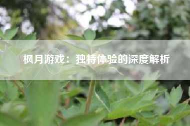 枫月游戏：独特体验的深度解析