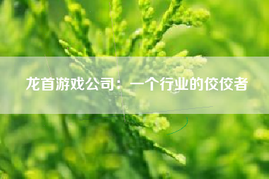 龙首游戏公司：一个行业的佼佼者