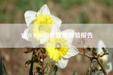 VIVO IQ00游戏直播体验报告