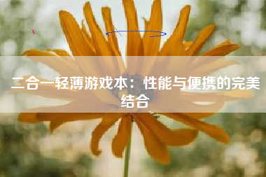 二合一轻薄游戏本：性能与便携的完美结合