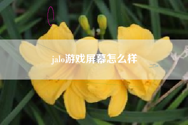 jalo游戏屏幕怎么样