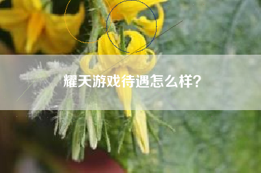 耀天游戏待遇怎么样？