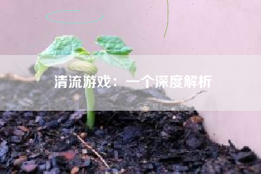 清流游戏：一个深度解析