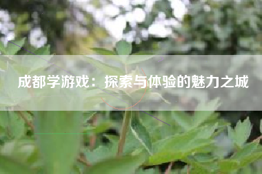 成都学游戏：探索与体验的魅力之城