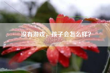 没有游戏，孩子会怎么样？