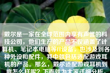 戴尔是一家在全球范围内享有声誉的科技公司，他们生产的产品不仅涵盖了计算机、笔记本电脑等IT设备，也涉及到各种外设和配件，其中就包括适配游戏耳机的产品。那么，戴尔适配游戏耳机到底怎么样呢？下面就为大家详细分析。