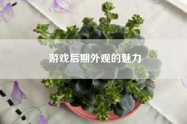 游戏后期外观的魅力