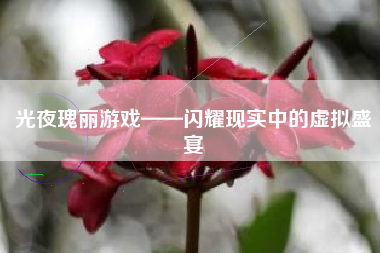 光夜瑰丽游戏——闪耀现实中的虚拟盛宴