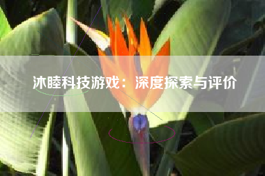 沐睦科技游戏：深度探索与评价
