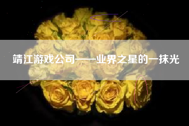 靖江游戏公司——业界之星的一抹光