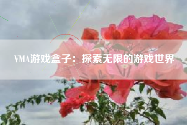 VMA游戏盒子：探索无限的游戏世界