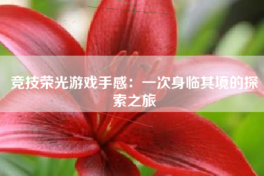 竞技荣光游戏手感：一次身临其境的探索之旅