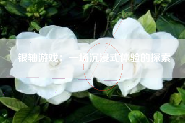 银轴游戏：一场沉浸式体验的探索