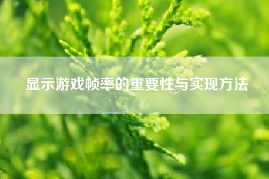 显示游戏帧率的重要性与实现方法