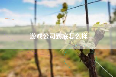 游戏公司到底怎么样
